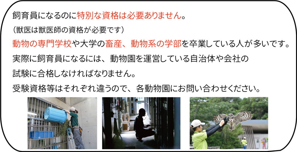 回答6飼育員になるには.jpg