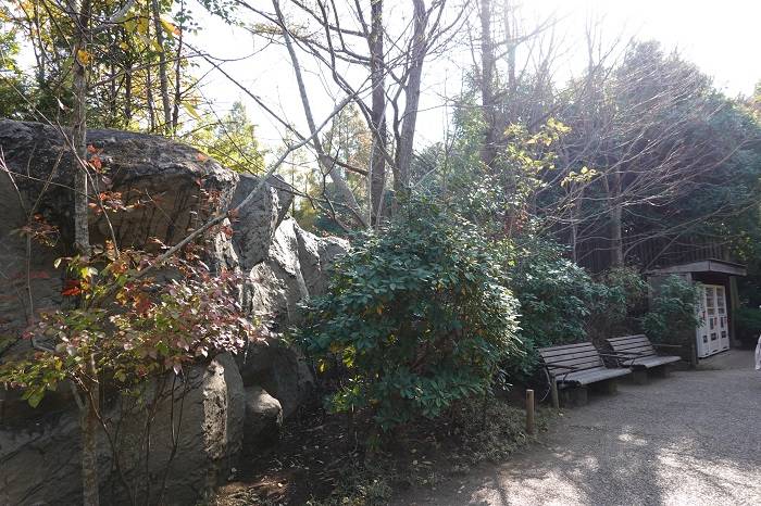 4 そんな時は自販機の方に回って頂き.jpg