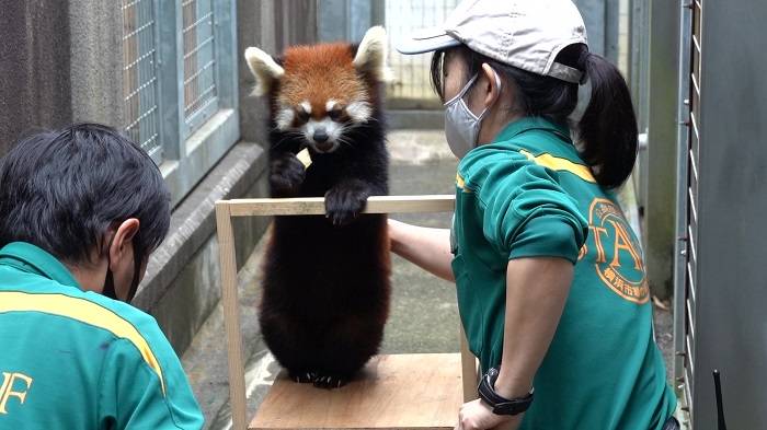 1 初期のトレーニング台.jpg