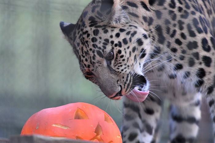 13 美味いのか!?.jpg