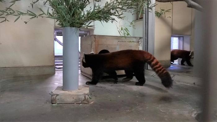 4 お互い無関心.jpg