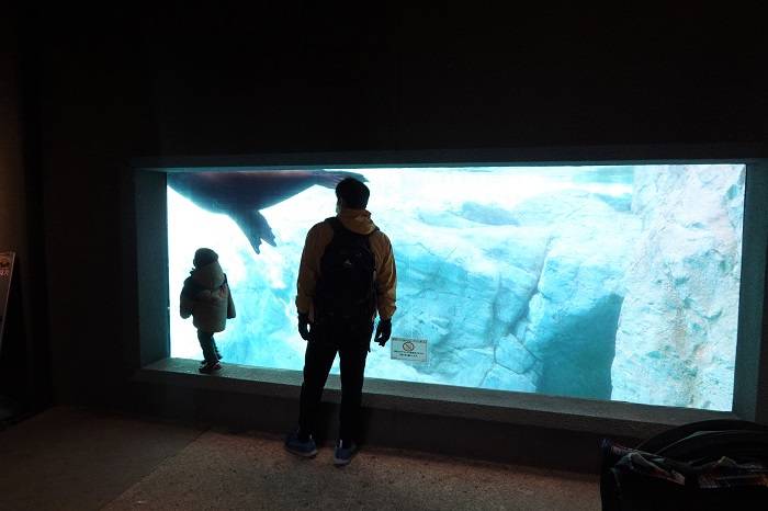 7 ぜひ参加してみてね.jpg