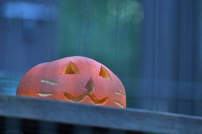 5 哀愁漂うカボチャ.jpg