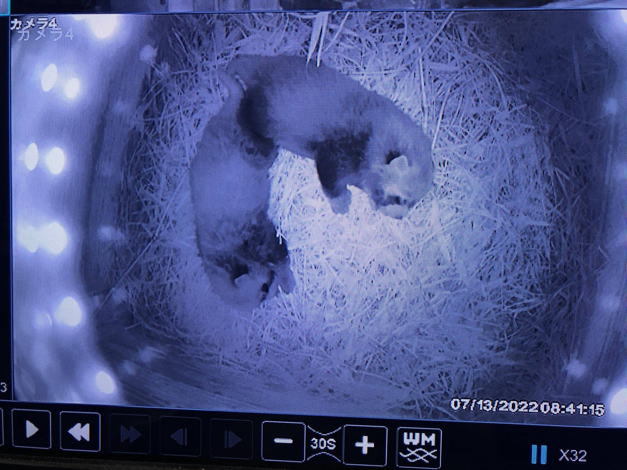 7.13 [顔がよく見える].jpg