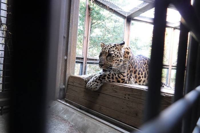 9 でもここから動きません.jpg