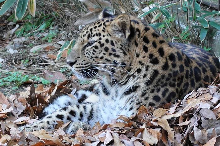 10 今後も使ってくれるといいな.jpg