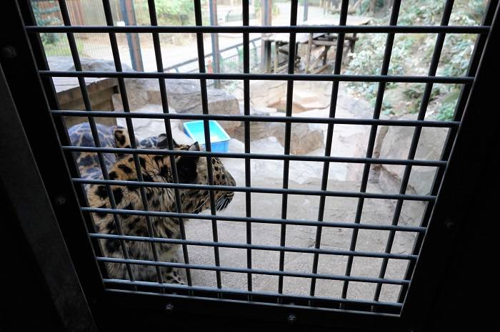 5 やっと扉の前に来ました.jpg