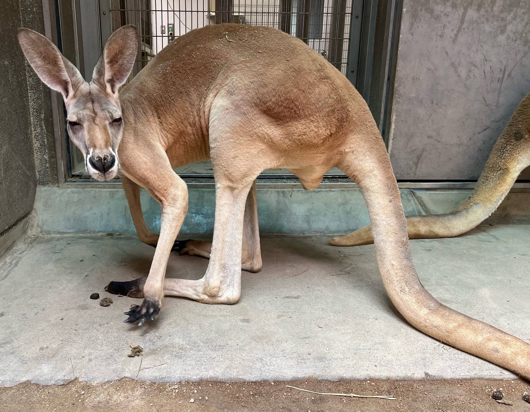 コロン２ 編集.jpeg