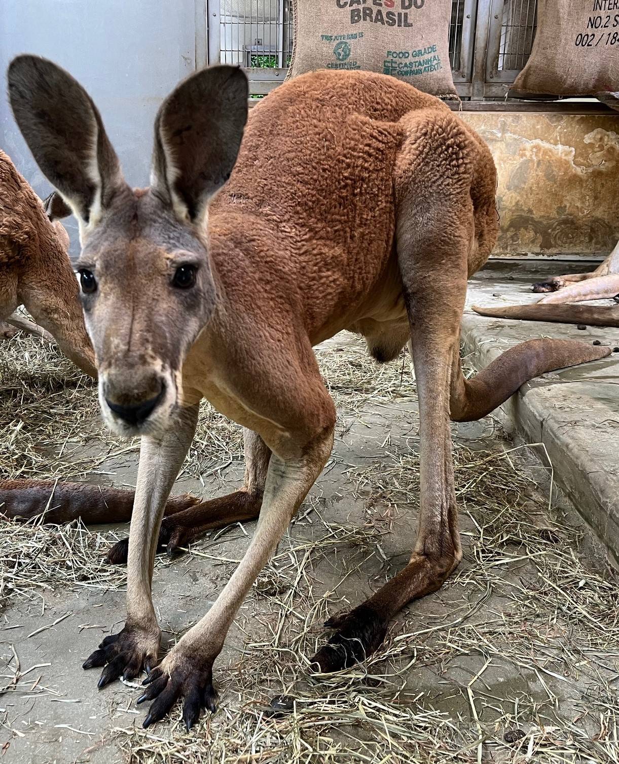 ファスリー 編集.jpeg