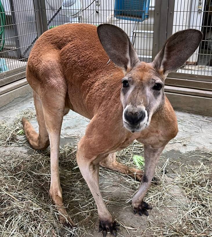 イコイ 編集.jpg