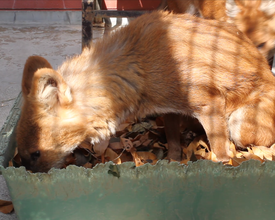 スクリーンショット (5).png