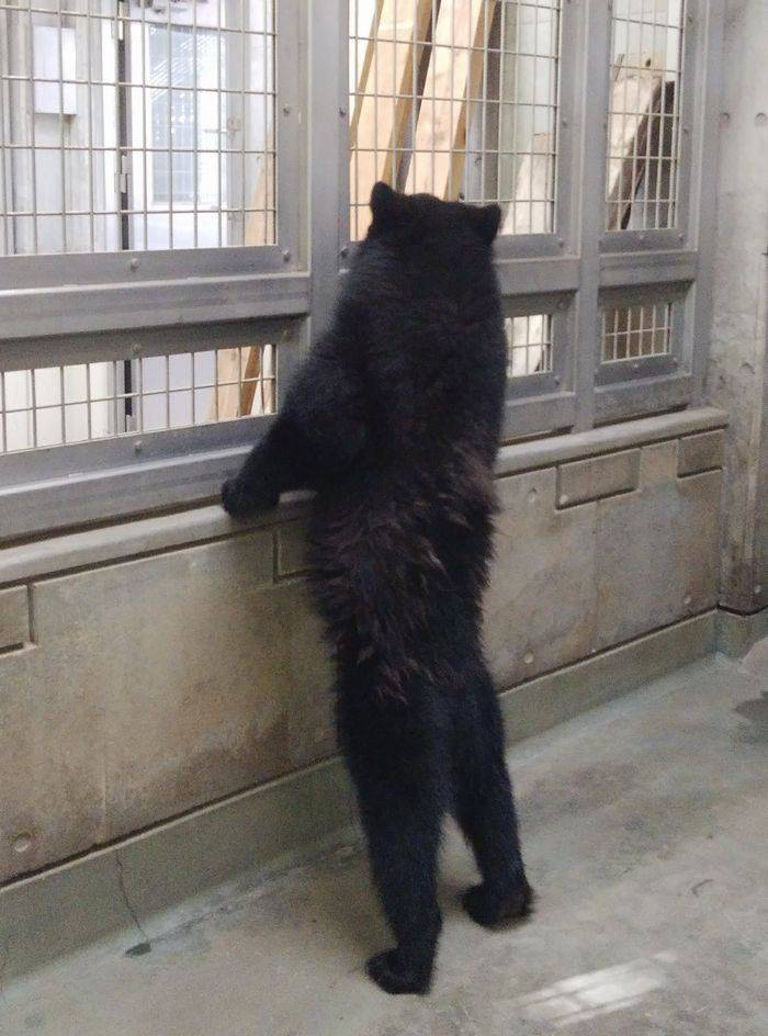 ズラスクその6.jpg