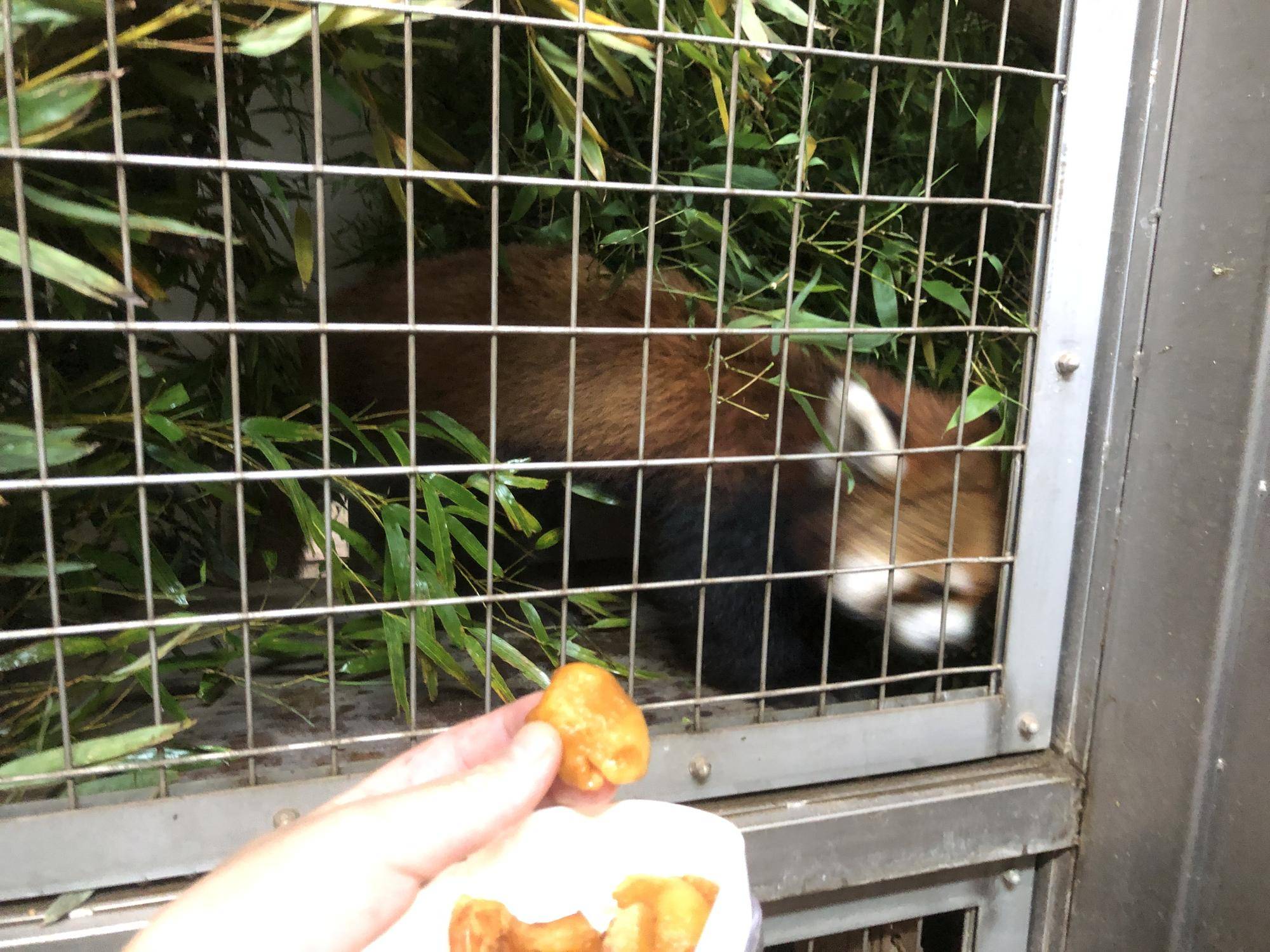 すごい勢いでにげていく9.jpg