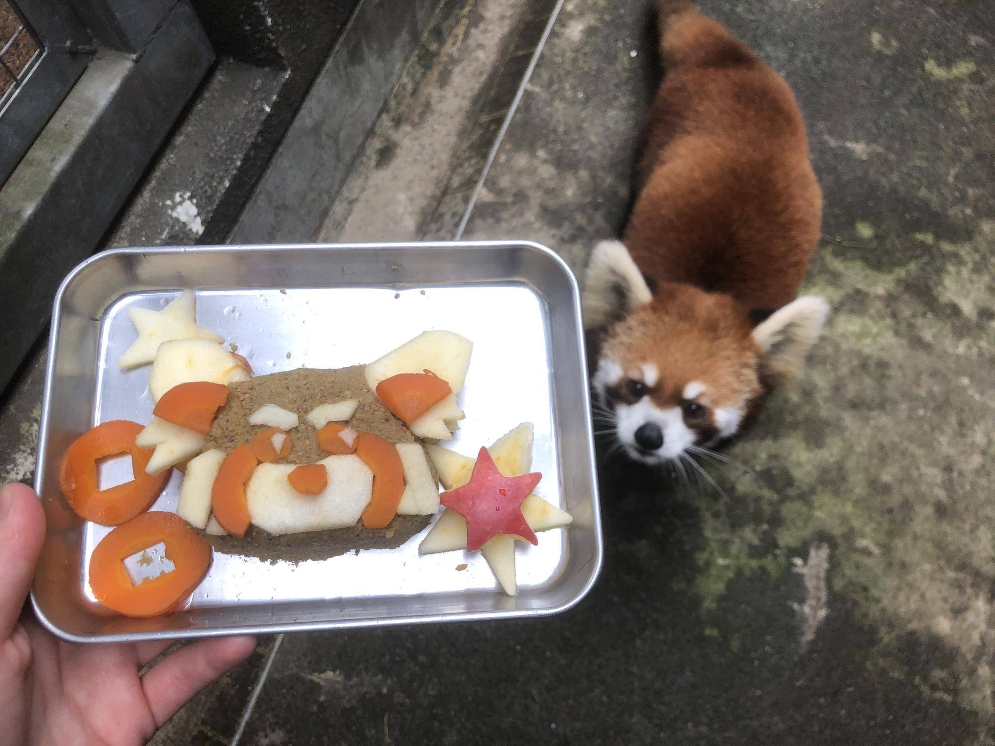 キクにみせる1.jpg