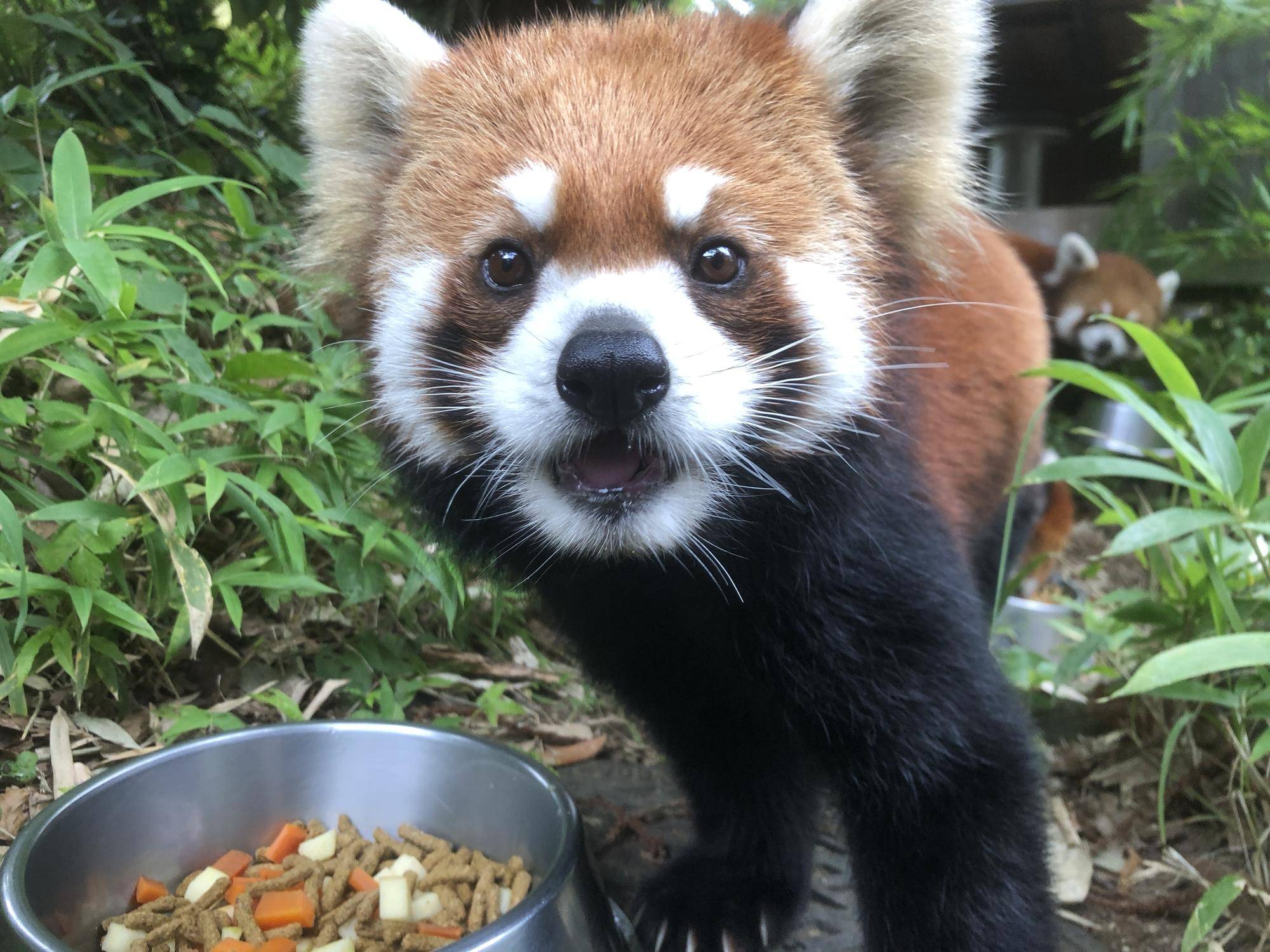 かわいいお顔.jpg