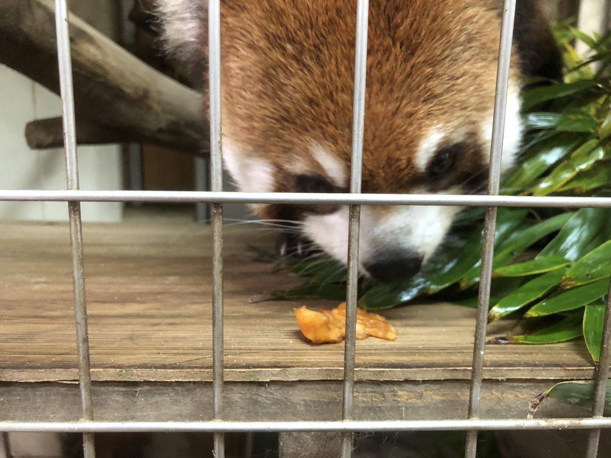 においをかぐ11.jpg