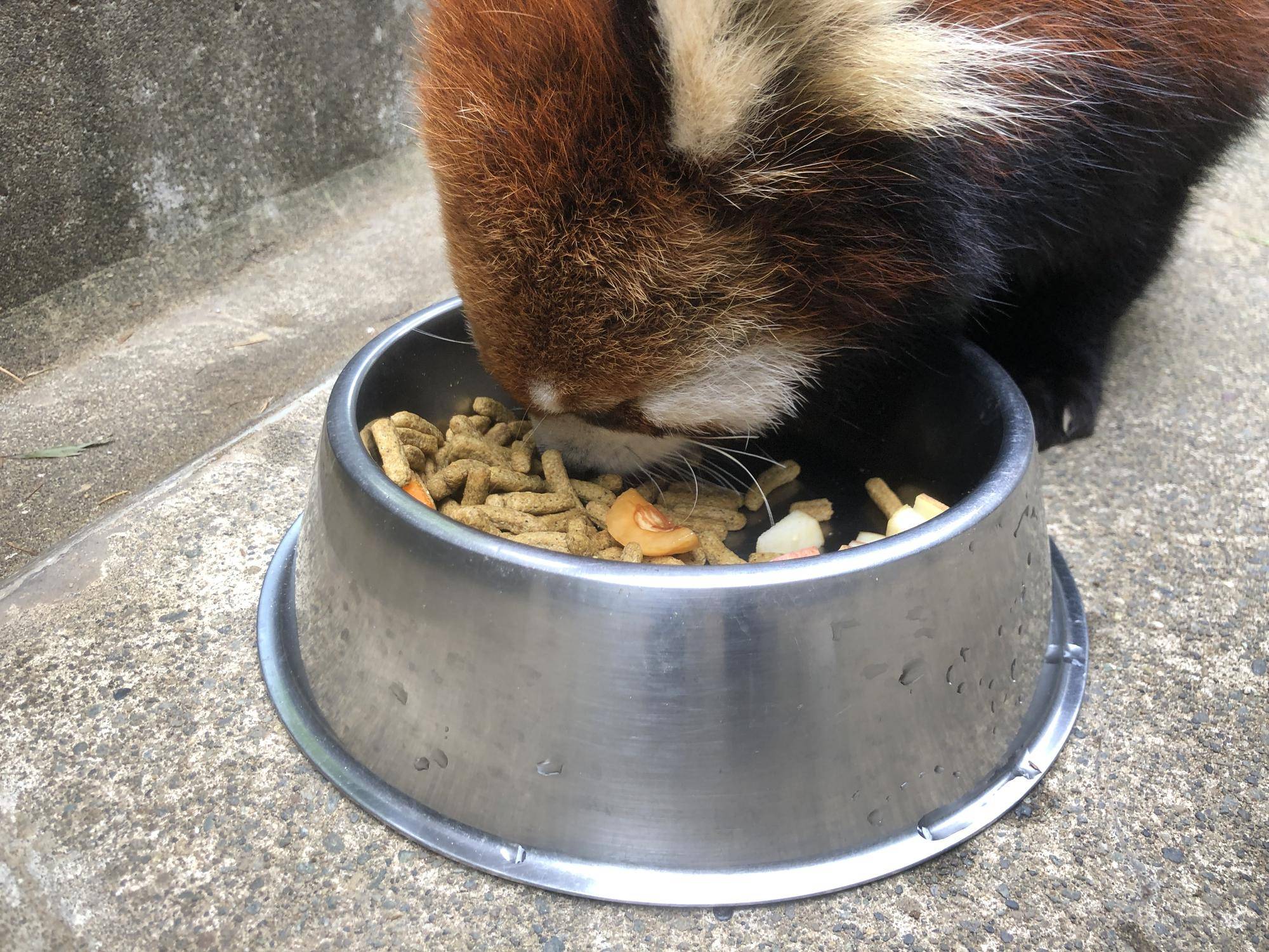 ビワをよけて食べる7.jpg