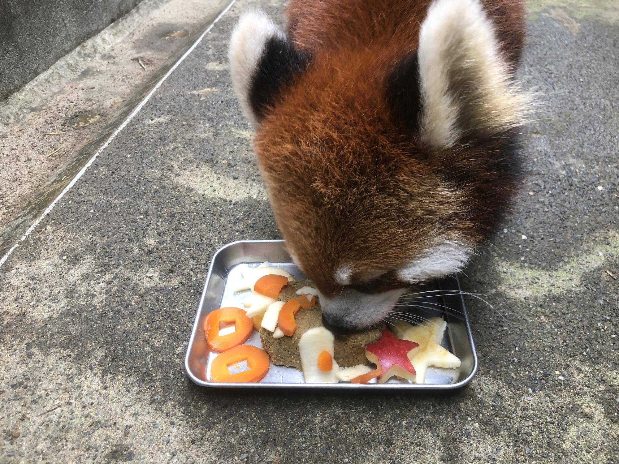 どんどんパーツが食べられる.jpg