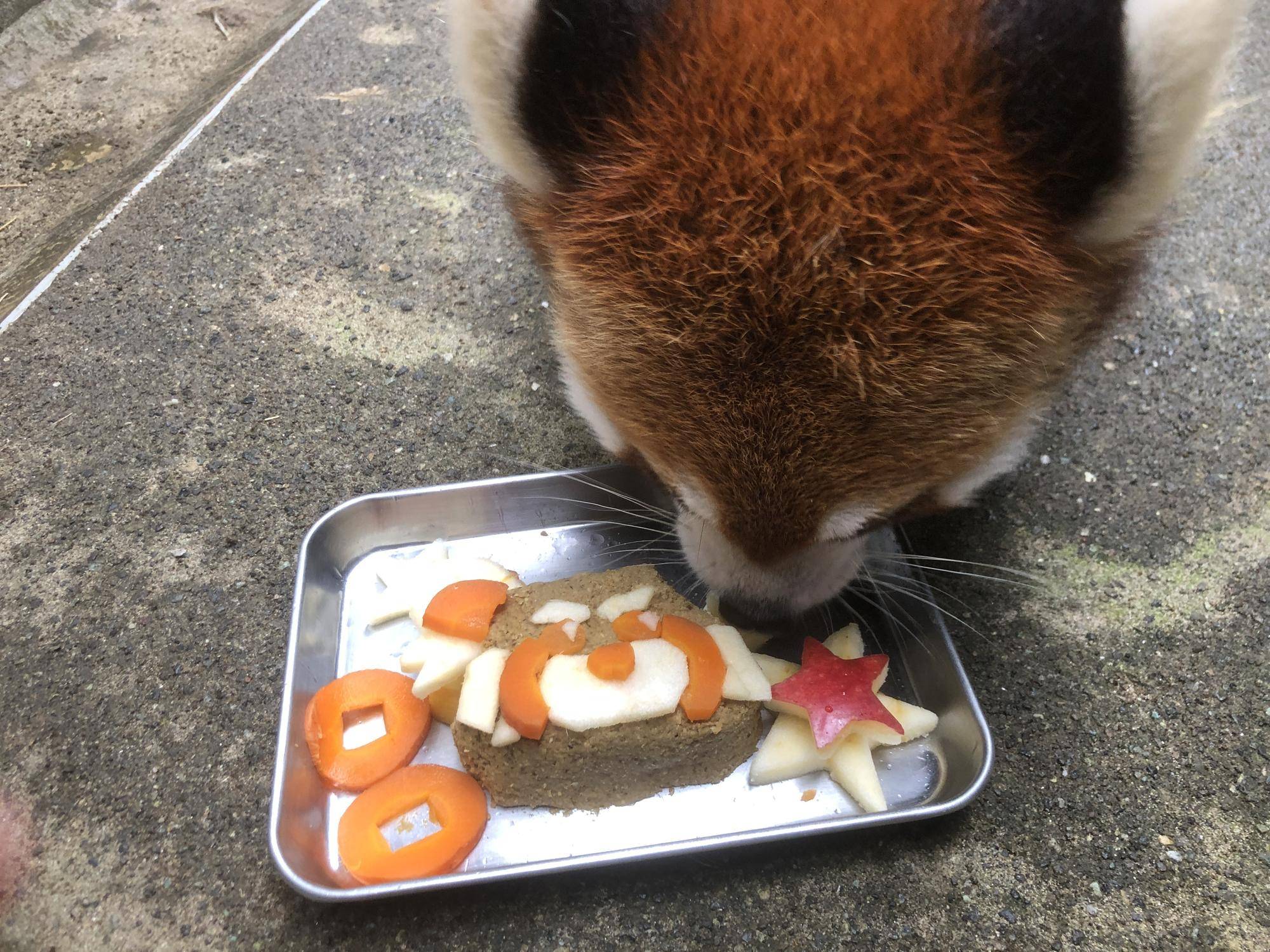 食べ進めるキク.jpg