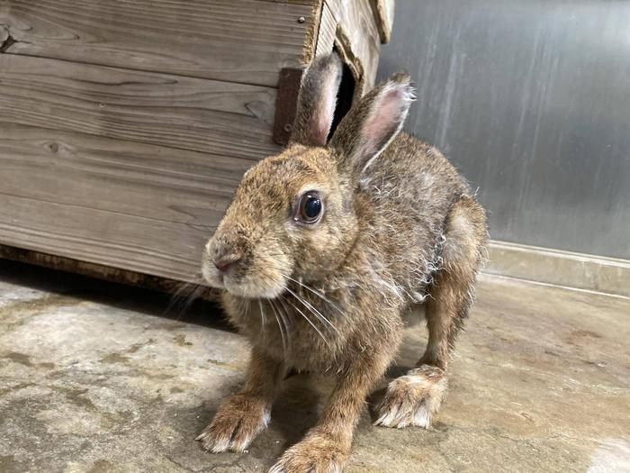 雑草ハンター降臨～前編～5