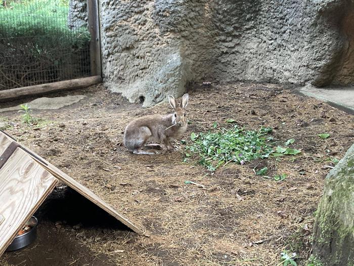 雑草ハンター降臨~後編~5