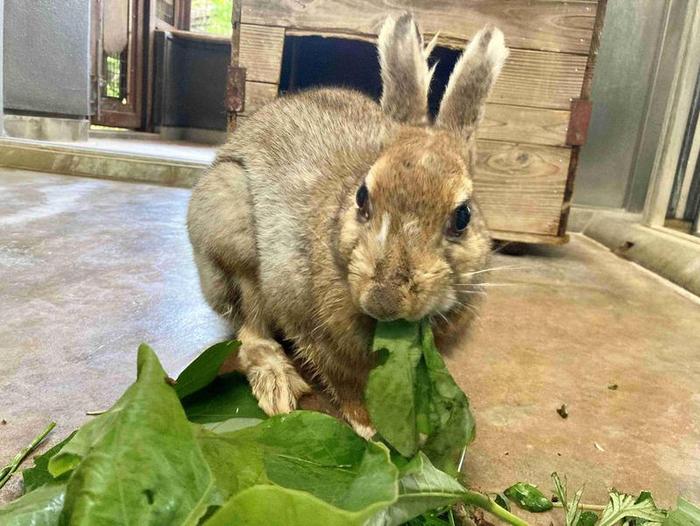 雑草ハンター降臨~後編~8