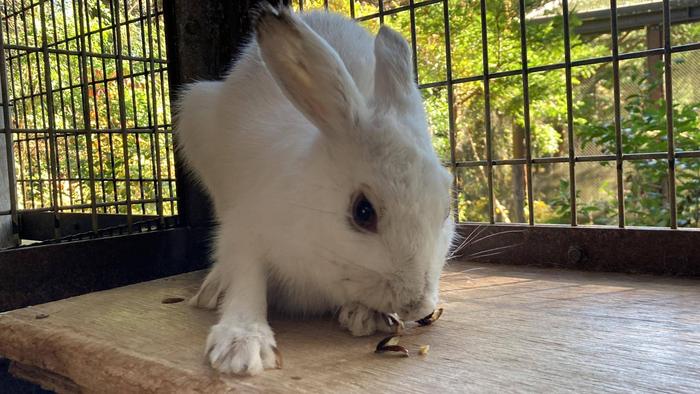 雑草ハンター降臨~後編~9