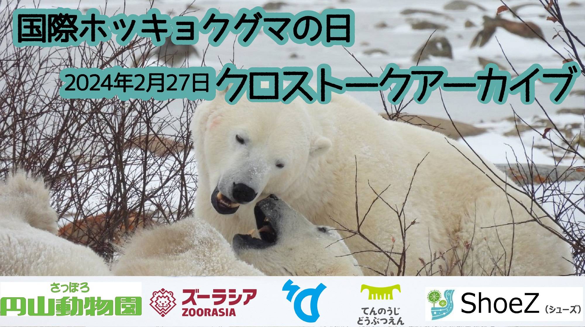 ホッキョクグマのグッズ7点セット/ズーラシア 公式】横浜市立よこはま動物園 ズーラシア on X: 