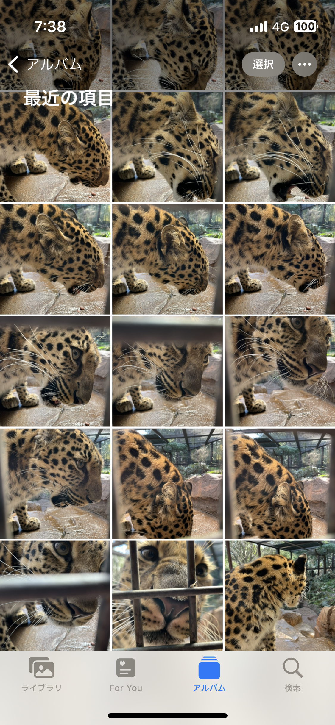 トライがいっぱい.png