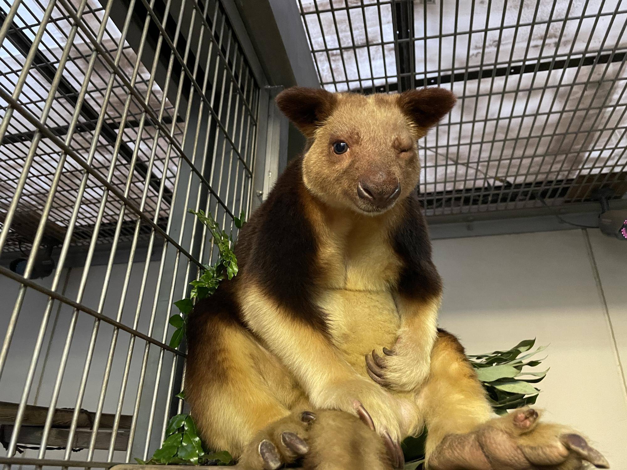 IMG_0673 - コピー.jpg