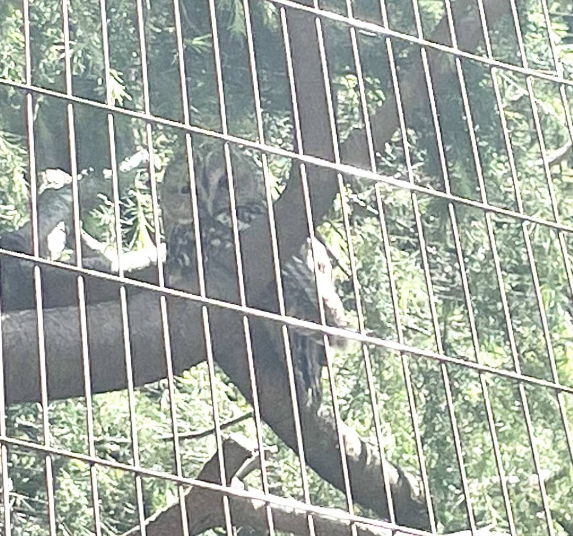 先ほどの写真を拡大したもの