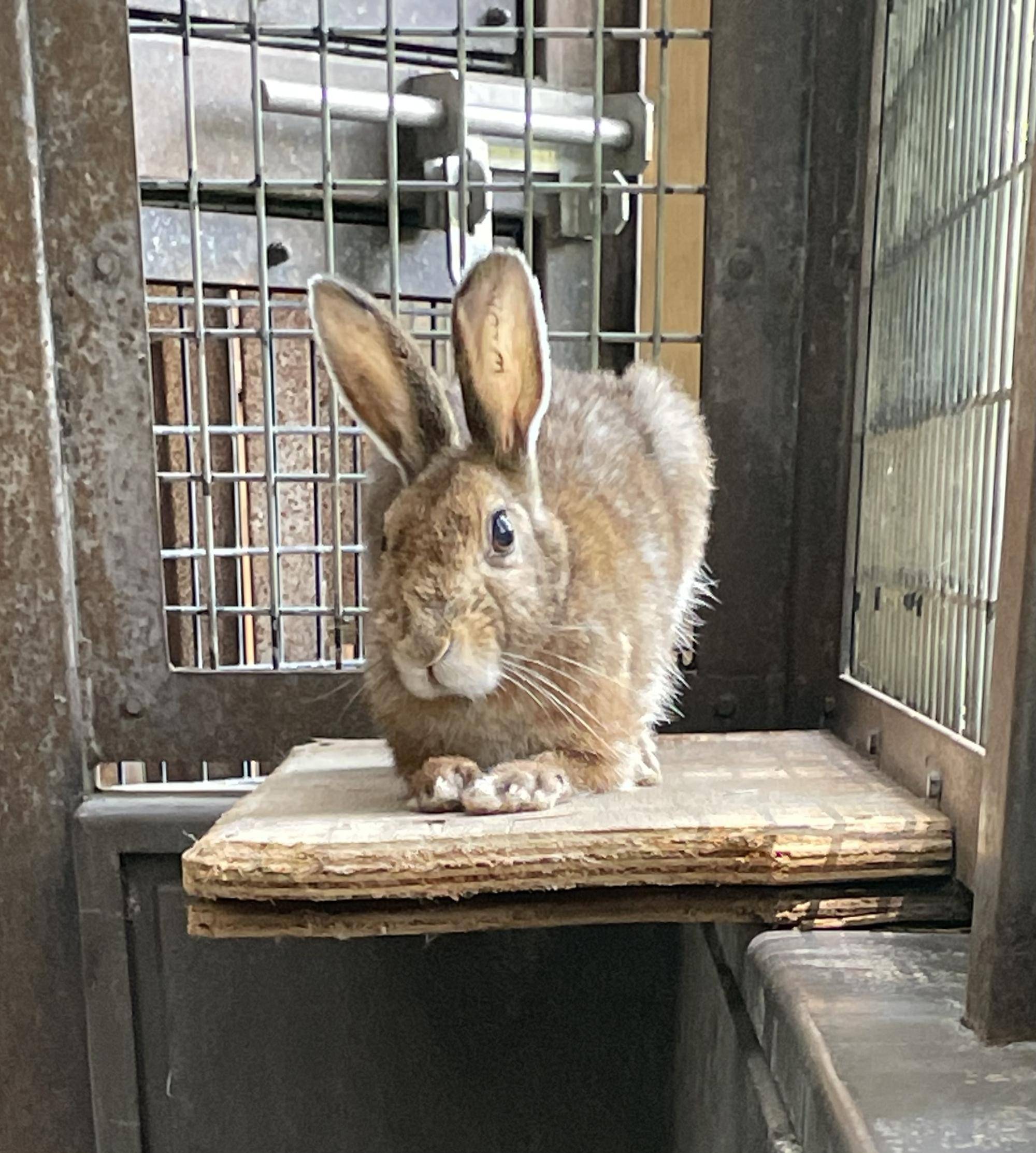 かなり警戒した様子でこちらをみるさつき