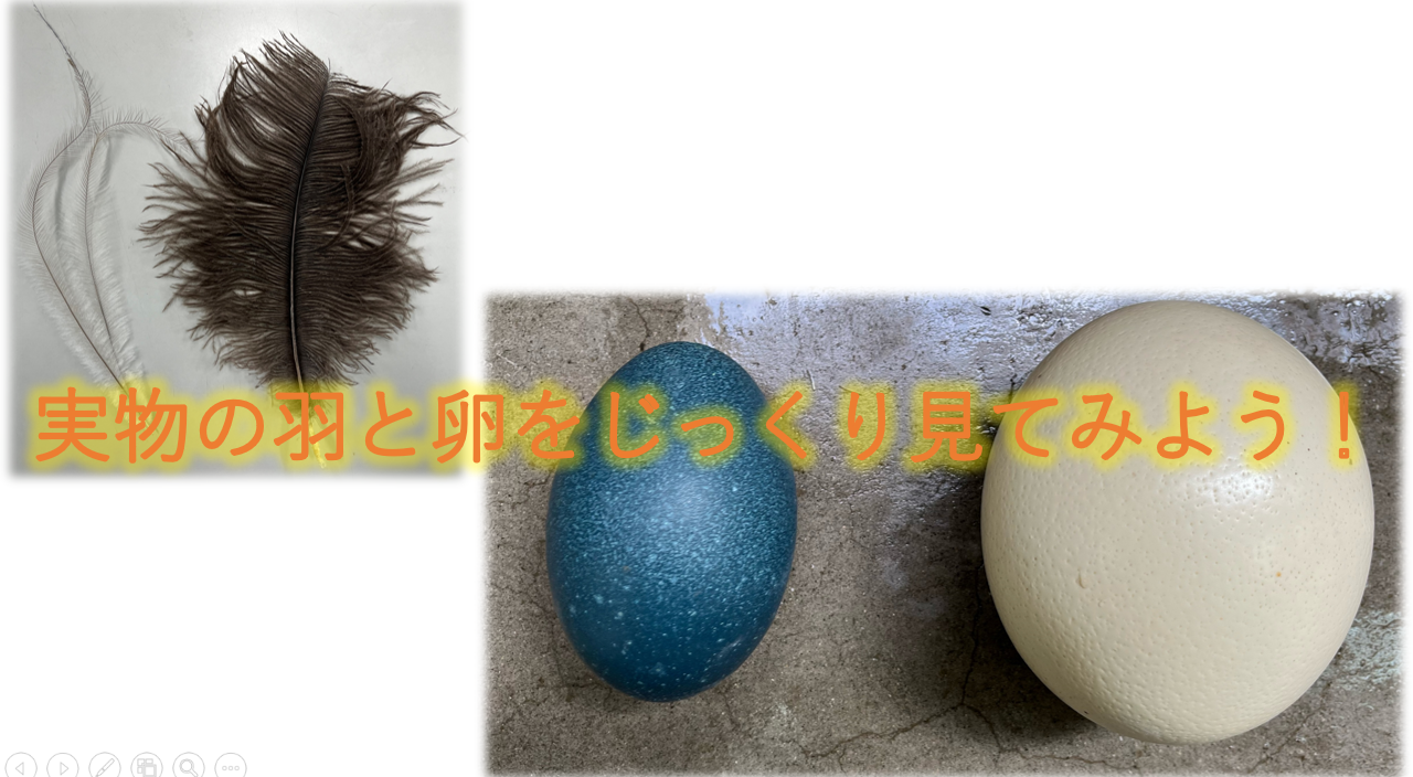 スクリーンショット (5).png