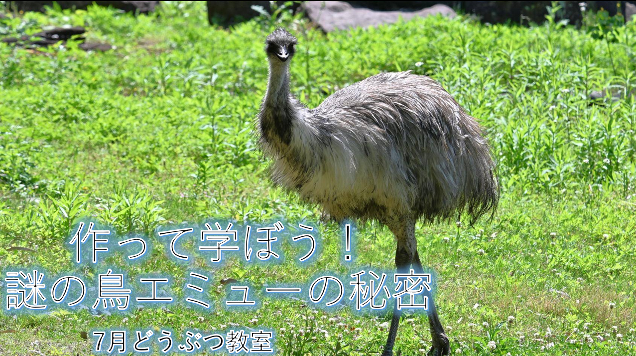 スクリーンショット (1).png