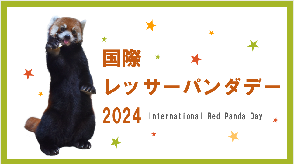 パンダデー.png