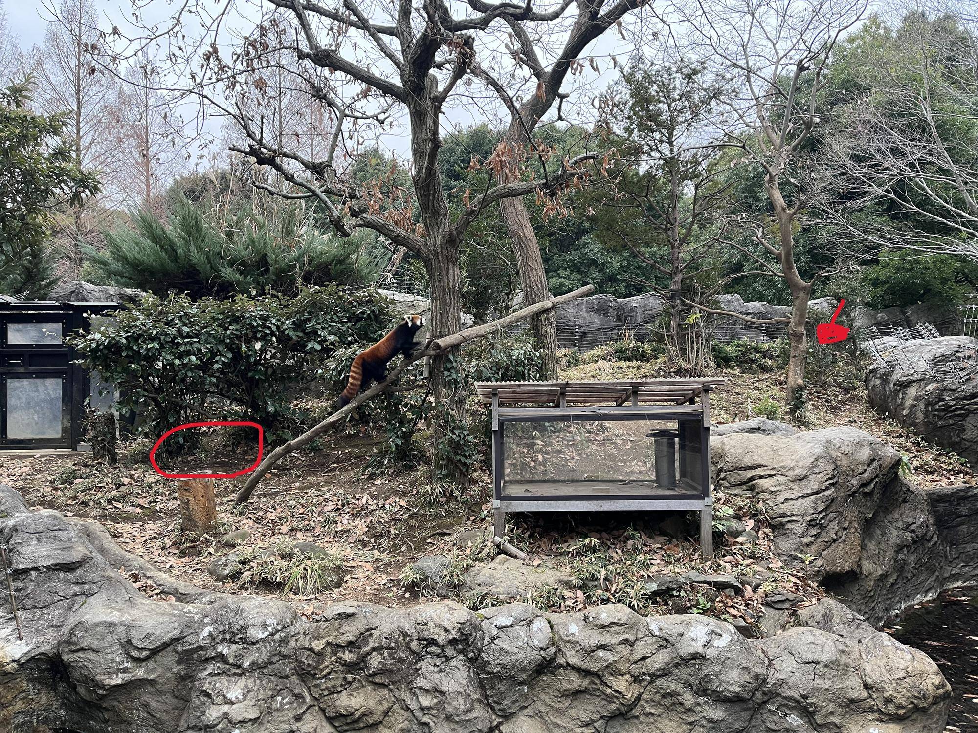 まめ 展示場.jpg