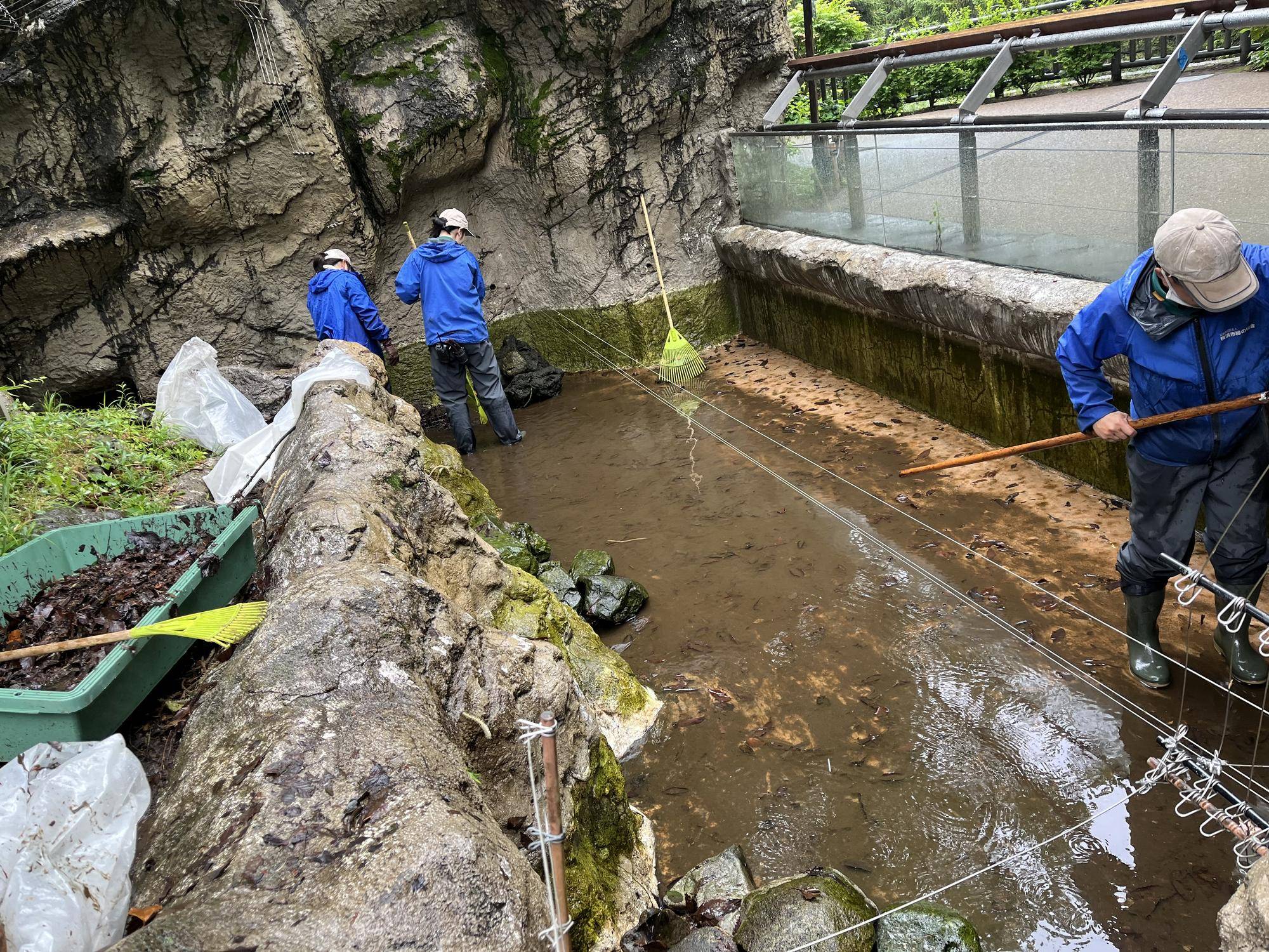 レスキュー中 (2).jpg