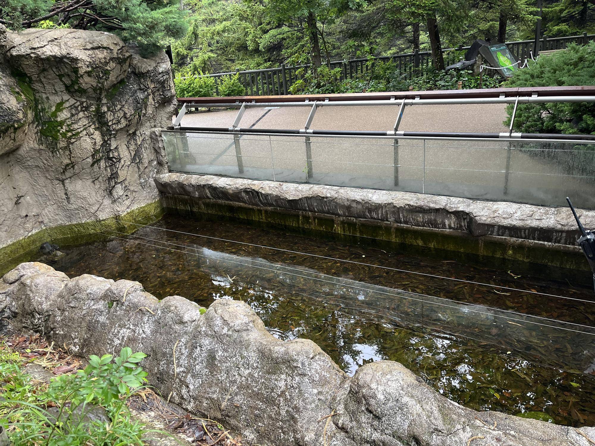 下流　ビフォー (2).jpg