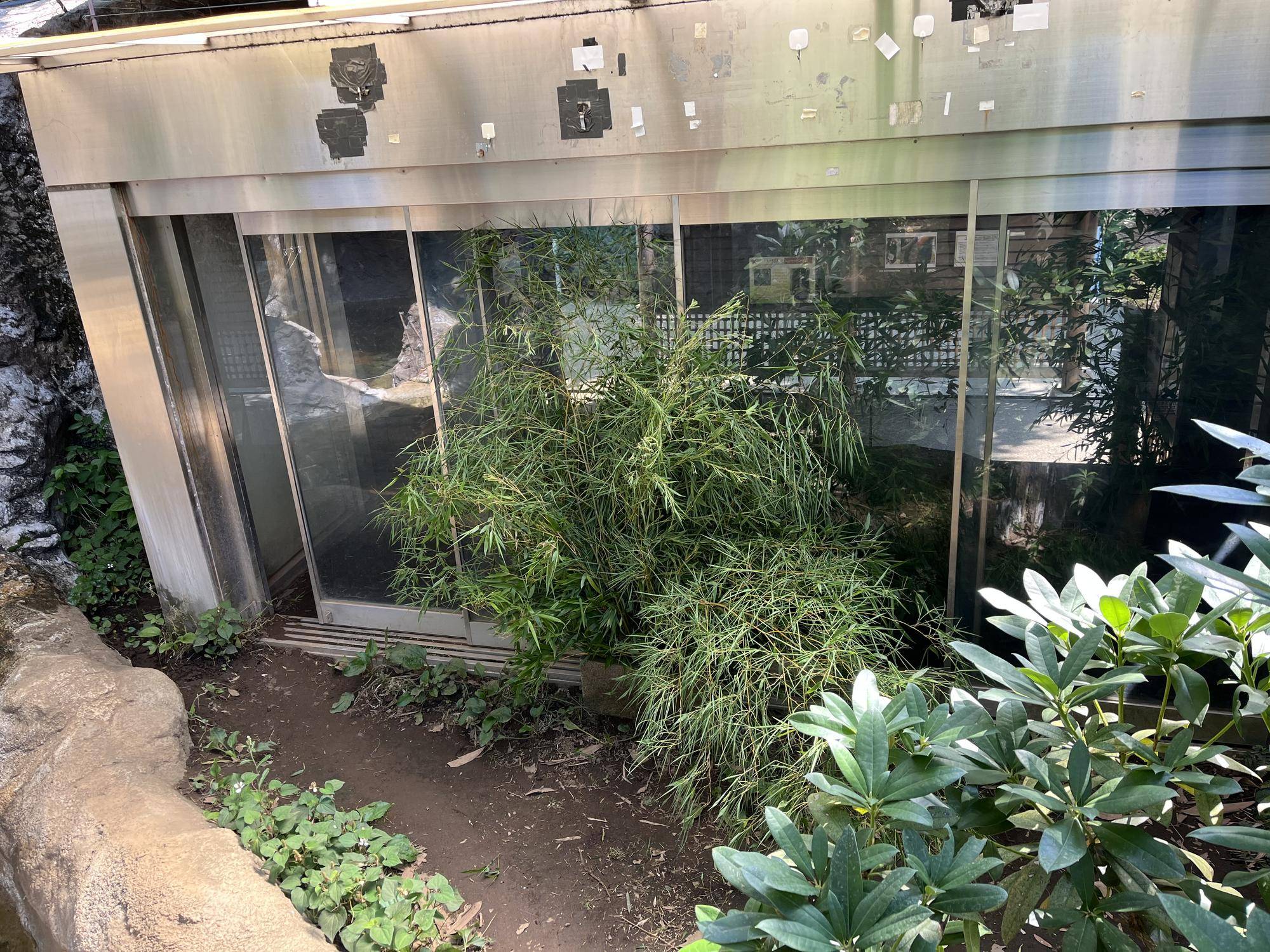 パンダ小展示場.jpg