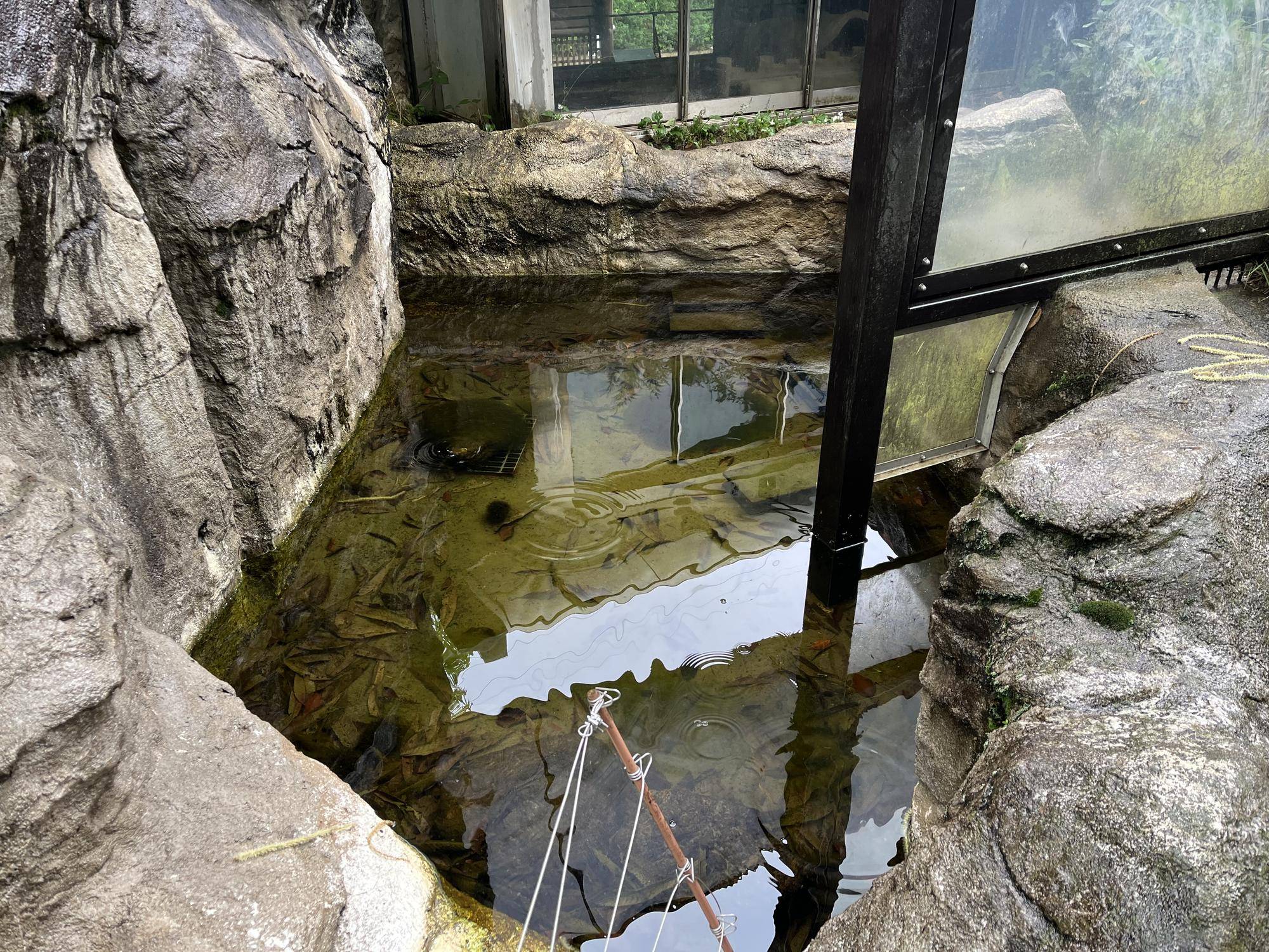 上流 ビフォー.jpg