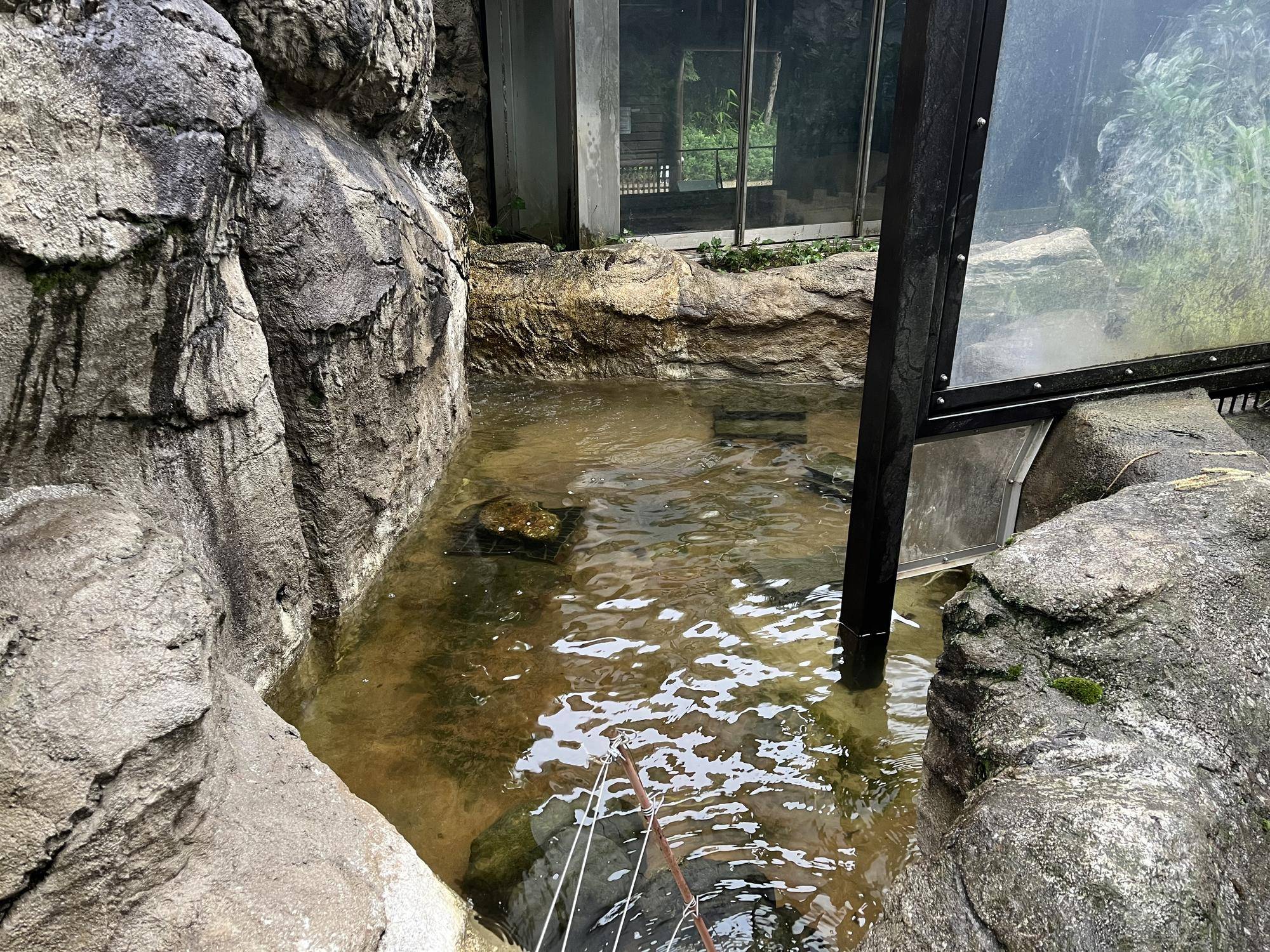 上流 アフター.jpg