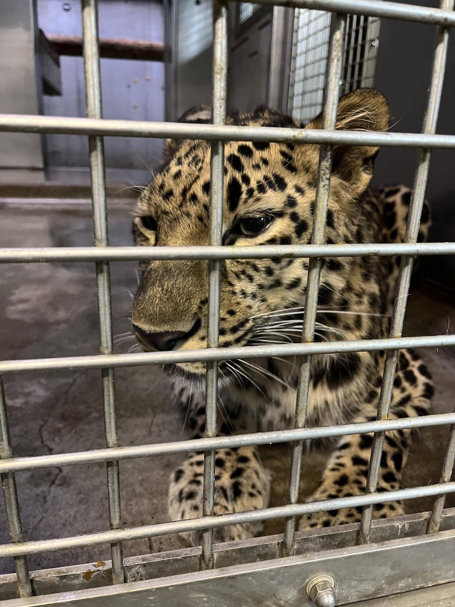 のんびりトライ (1).jpg