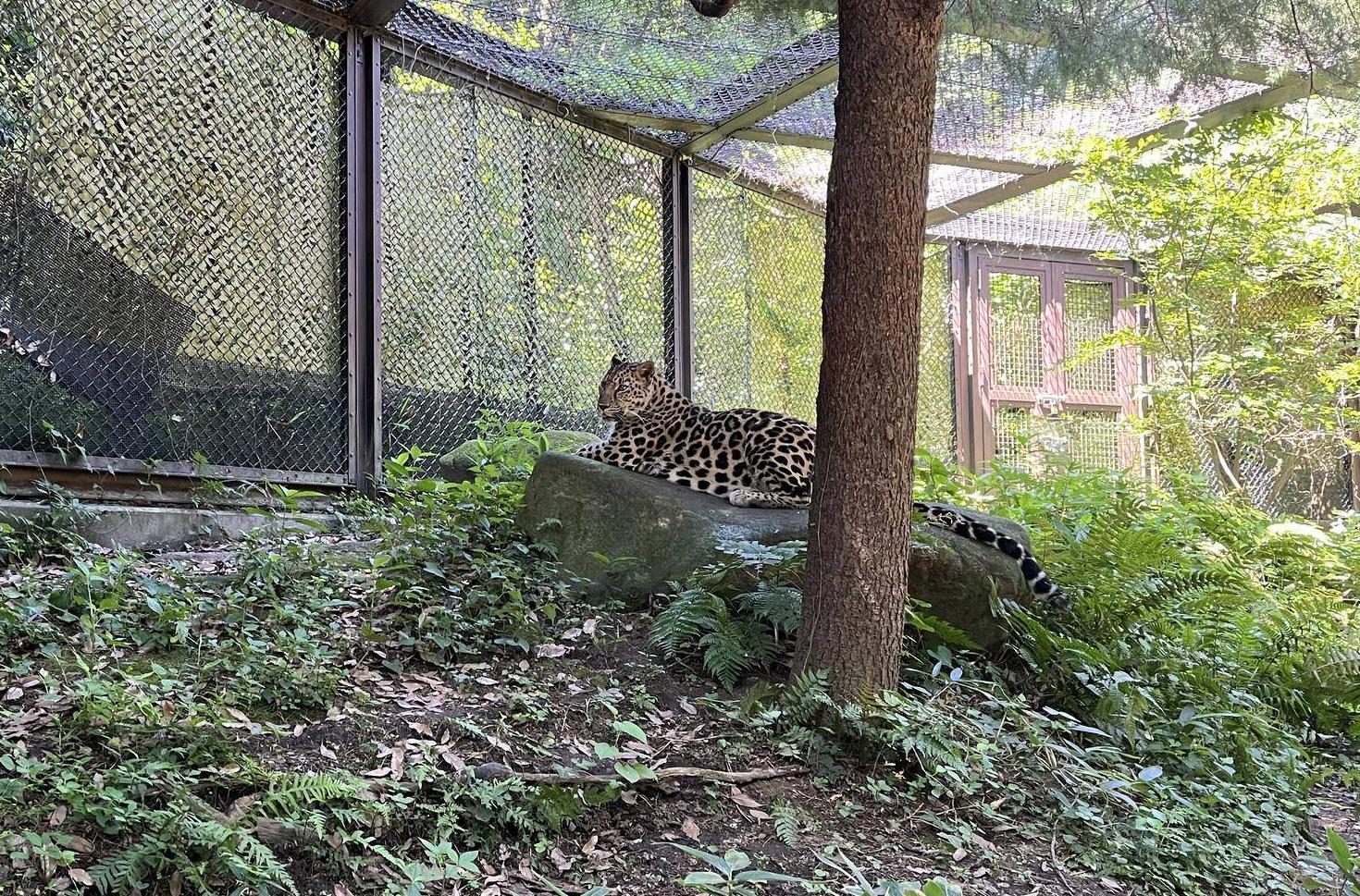 展示場で休むトライ.jpg