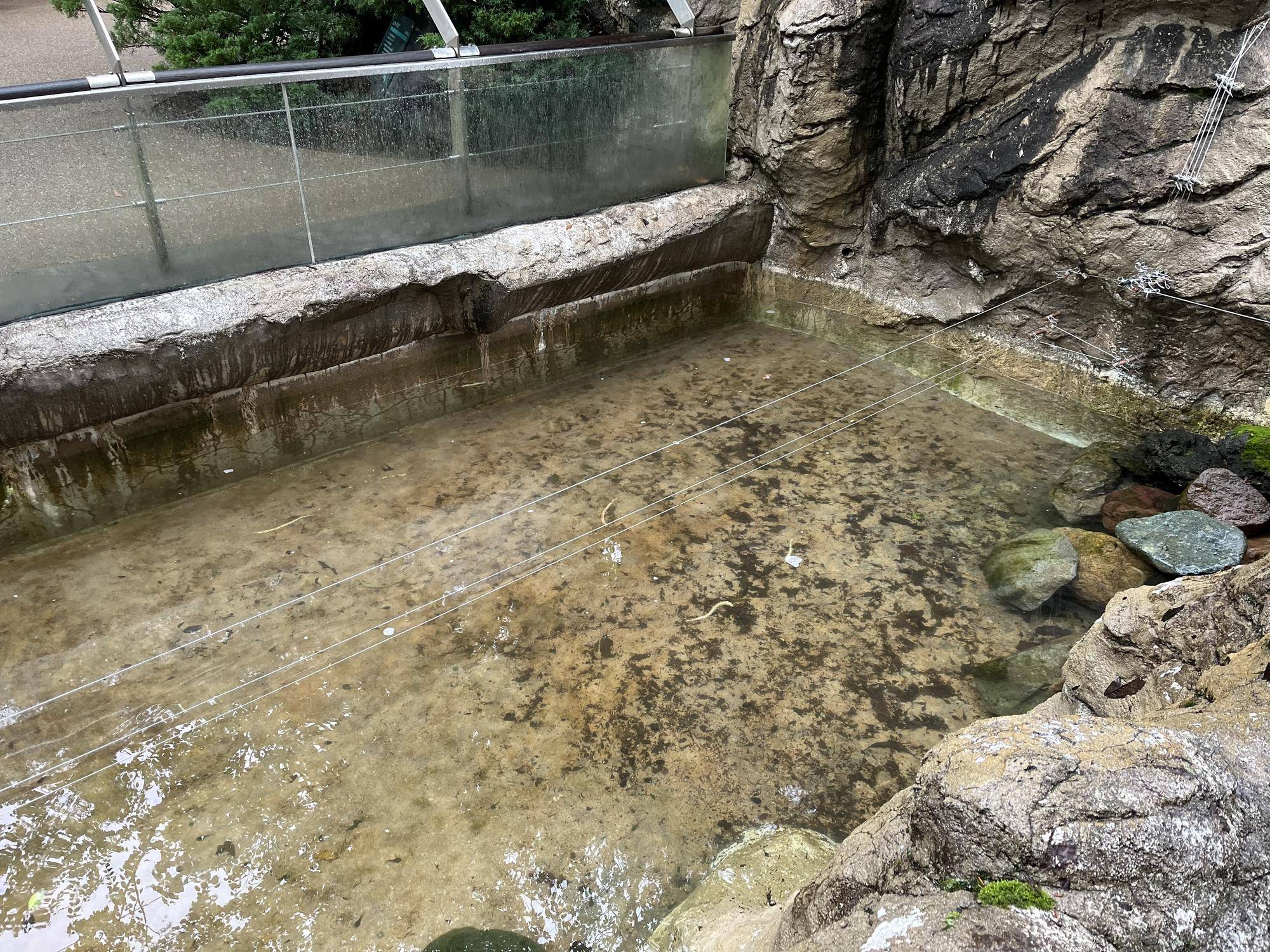 下流 アフター.jpg