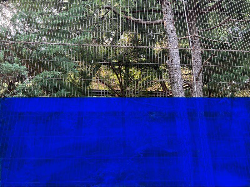 フクロウ展示場その２