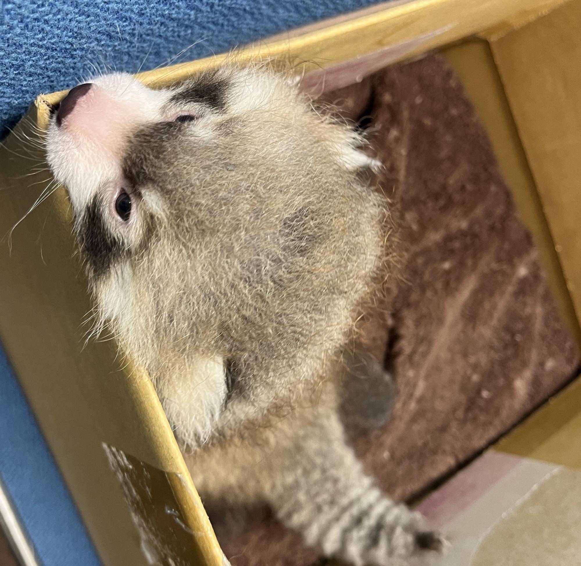 0801 人工 おまけ.jpg