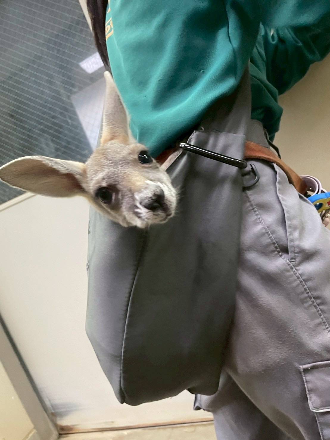 IMG_4930 - コピー.jpg