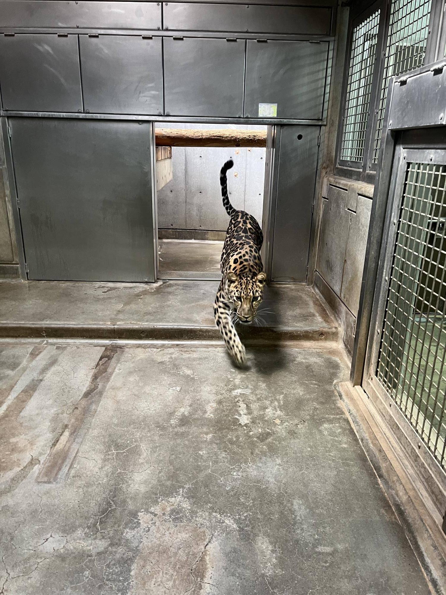 迫りくるトライ (2).jpg