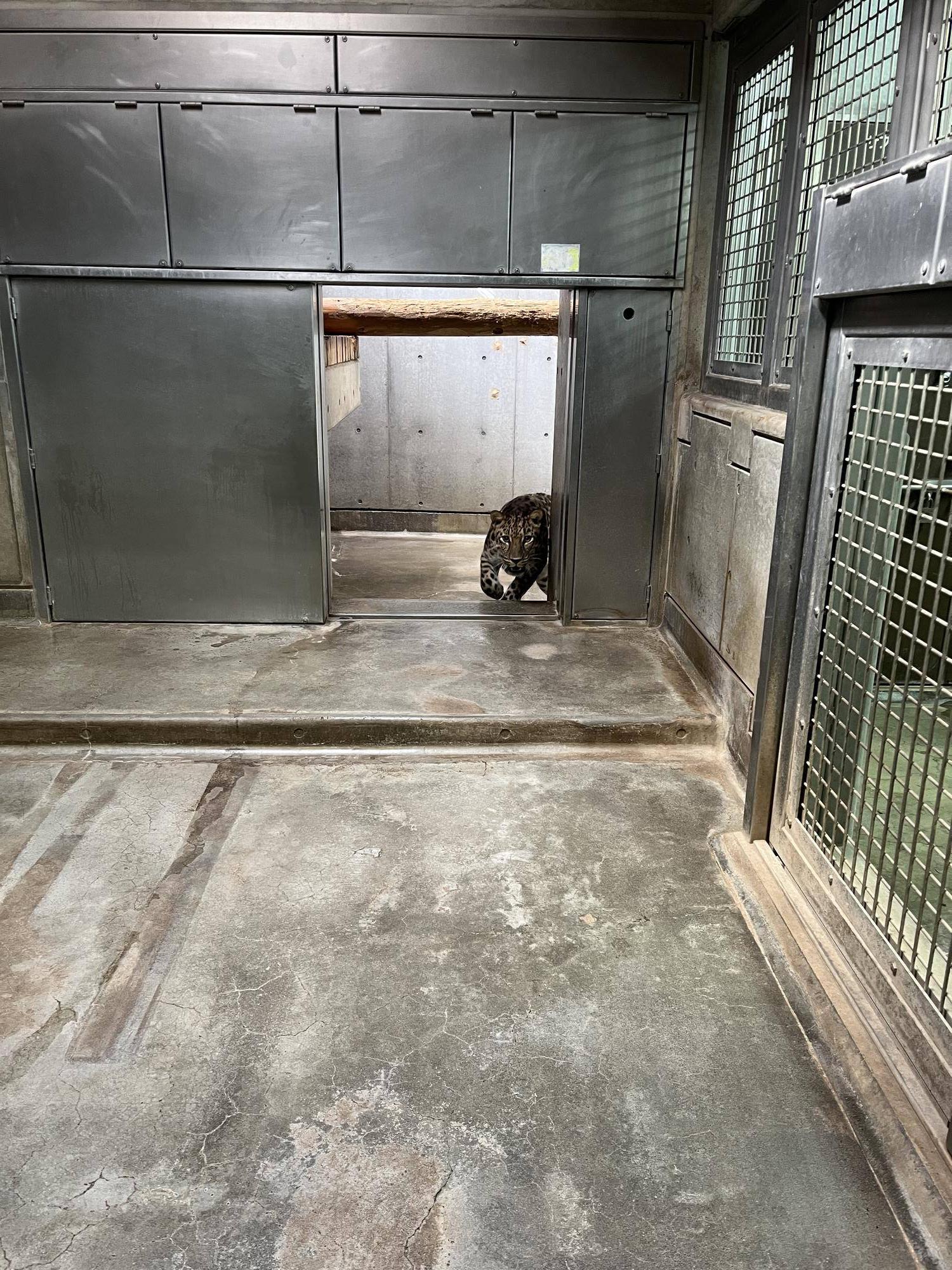 迫りくるトライ (1).jpg