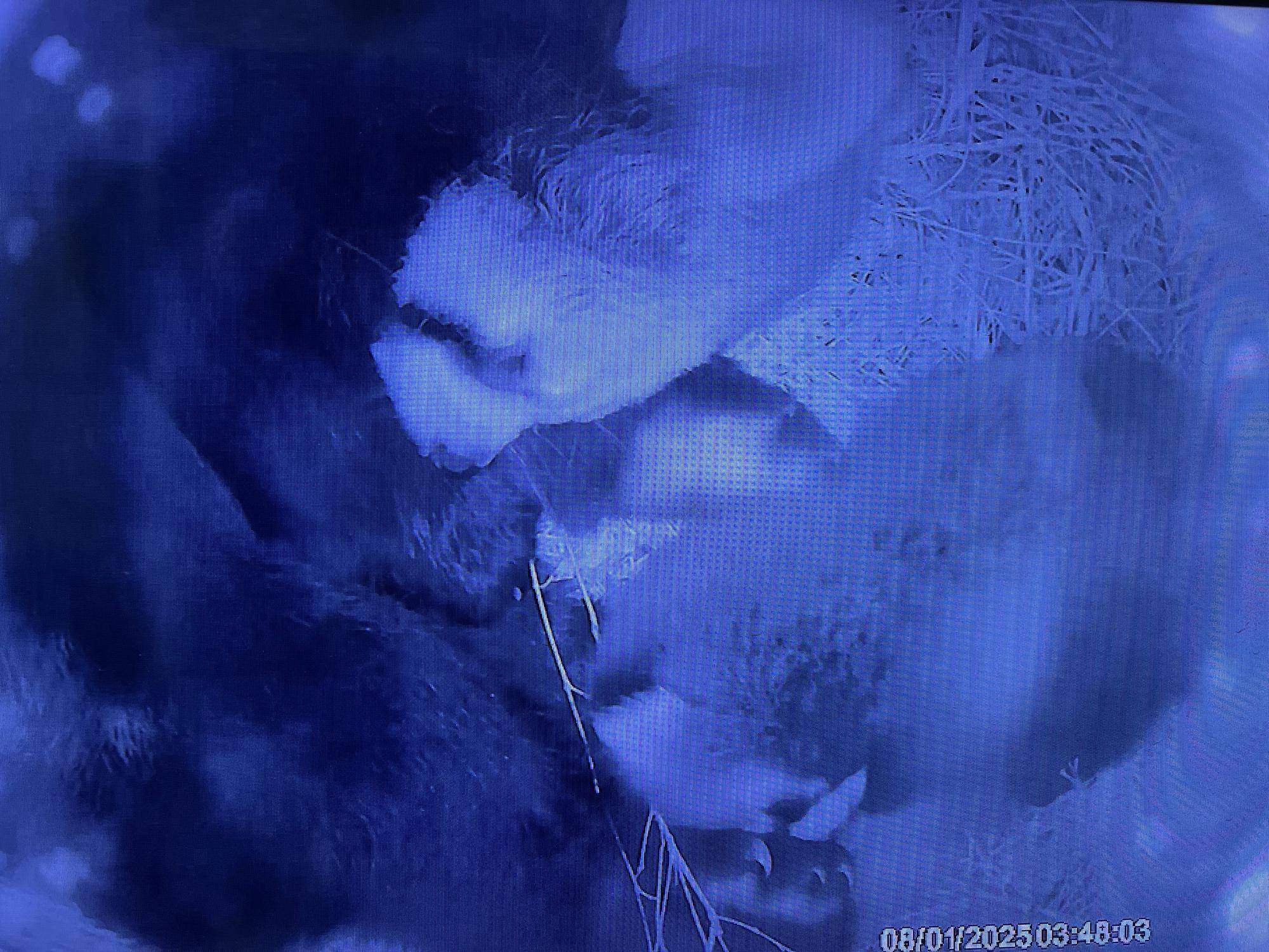 0801 自然　NEW.jpg